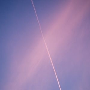 Meet your Posher, Monika